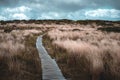 A pathway on the mountain