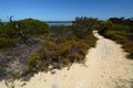 Pathway near Lake Thetis. Cervantes. Shire of Dandaragan. Western Australia. Australia Royalty Free Stock Photo