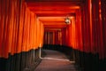 Pathway orii gates at Fushimi Inari Shrine at night and rain Kyoto, Japan Royalty Free Stock Photo