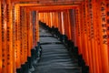 Pathway orii gates at Fushimi Inari Shrine at night and rain Kyoto, Japan