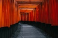 Pathway orii gates at Fushimi Inari Shrine at night and rain Kyoto, Japan Royalty Free Stock Photo