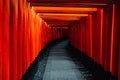 Pathway orii gates at Fushimi Inari Shrine at night and rain Kyoto, Japan Royalty Free Stock Photo