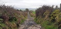 Pathway up to Knocknarea and Queen Maeve`s Tomb Royalty Free Stock Photo