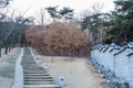 Pathway of the Paldal Gongwon Park, next to the Hwaseong Haenggung Palace in Suwon, the largest one of where the king Jeongjo and