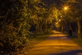 Pathway in the park late at night