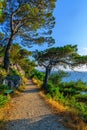 Pathway on peninsula Osejava in Makarska, Croatia Royalty Free Stock Photo