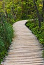 Pathway in Plitvice lakes park at Croatia Royalty Free Stock Photo