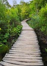Pathway in Plitvice lakes park at Croatia Royalty Free Stock Photo