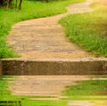 Pathway in garden