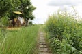 Pathway on rice field.