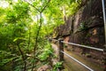 Pathway between rock and forest.