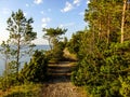 Pathway in Saaremaa