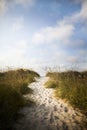 Pathway in sand dune to beach Royalty Free Stock Photo