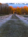 Pathway surrounded by trees covered in the fog in Billy Frank Jr. Nisqually National Wildlife Refuge Royalty Free Stock Photo