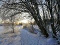 Pathway surrounded by trees covered in the snow under the sunlight in Larvik in Norway Royalty Free Stock Photo