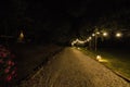 A pathway surrounded by trees and green grass in a park with lighted string lights at night