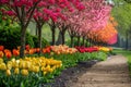 A pathway surrounded by vibrant and diverse flowers, creating a stunning display of colors and patterns, A row of vibrant tulip