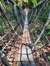 The pathway on the suspension bridge in the forest with sunshine and the shadow of the bridge railings. Royalty Free Stock Photo