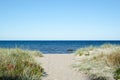 Pathway to the beach of Baltic Sea at the swedish island Oland