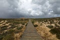Pathway to the beach on Culatra Island in Ria Formosa, Portugal Royalty Free Stock Photo