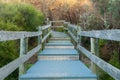 Pathway To The Beach and Ocean