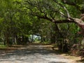 Pathway to the Beach Royalty Free Stock Photo