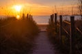 Pathway to the beach through the vegetated dunes