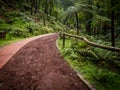 Pathway to Caldeira Velha Royalty Free Stock Photo