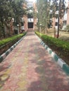 Pathway to Indian house