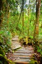 Pathway to nature