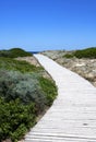Pathway to the sea Royalty Free Stock Photo