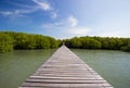 Pathway to the sea at Laem Phak Bia,Pethaburi province,Thailand