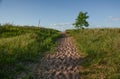 Pathway to the Shore of Lake Superior Royalty Free Stock Photo