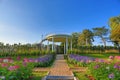 The pathway to top viewpoint in flower garden Royalty Free Stock Photo