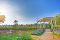 The pathway to top viewpoint in flower garden Royalty Free Stock Photo