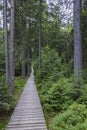 pathway to Velke Mechove Jezirko, Jeseniky Mountains, Czech Republic Royalty Free Stock Photo