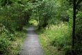 Pathway trail with green nature on sides Royalty Free Stock Photo