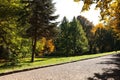 Pathway, trees and green grass in beautiful park on autumn day