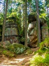 Pathway among trees and rocks in GÃÂ³ry Stolowe in Poland.