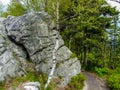 Pathway among trees and rocks in GÃÂ³ry Stolowe in Poland.