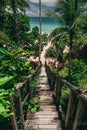 Pathway in tropical jungle. Way to beach Palm trees, white sand and blue sea, perfect summer vacation landscape or Royalty Free Stock Photo