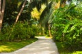 Pathway in tropical park Royalty Free Stock Photo