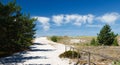 Pathway trough the dunes on Baltic Coast, Poland