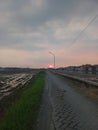 pathway between two wide rice fields