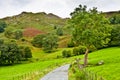 Pathway under Loughrigg Fell Royalty Free Stock Photo