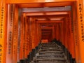 Pathway under the Torii Gate of Fushi Inari Shrine