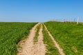 A Pathway in the Countryside