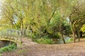 Pathway a walk bridge in a local park Autumn time Royalty Free Stock Photo