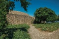 Pathway and wall in a lawn garden with leafy trees