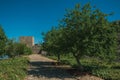 Pathway and wall in a lawn garden with trees at the Marvao Castle